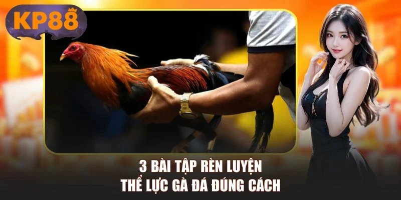 3 bài tập rèn luyện thể lực gà đá đúng cách