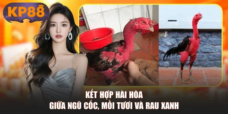 Kết hợp hài hòa giữa ngũ cốc, mồi tươi và rau xanh