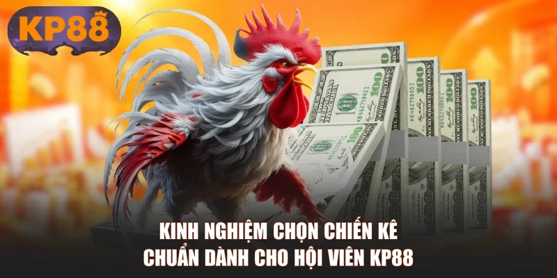 Kinh Nghiệm Chọn Chiến Kê Chuẩn Dành Cho Hội Viên KP88