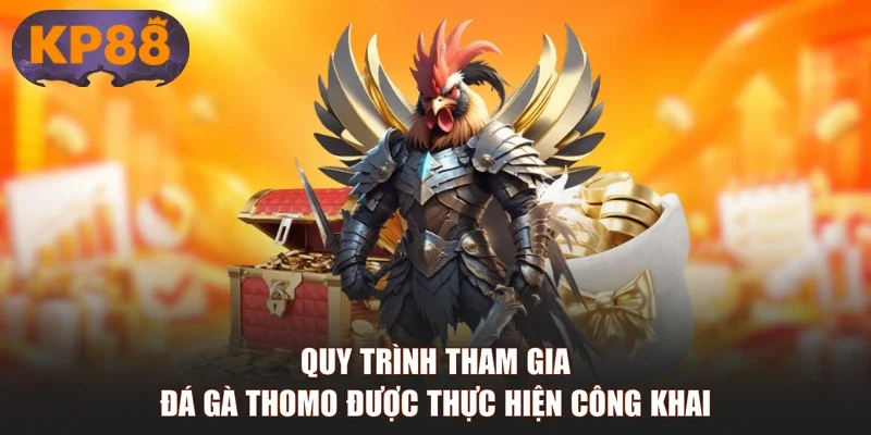 Quy trình tham gia đá gà Thomo được thực hiện công khai